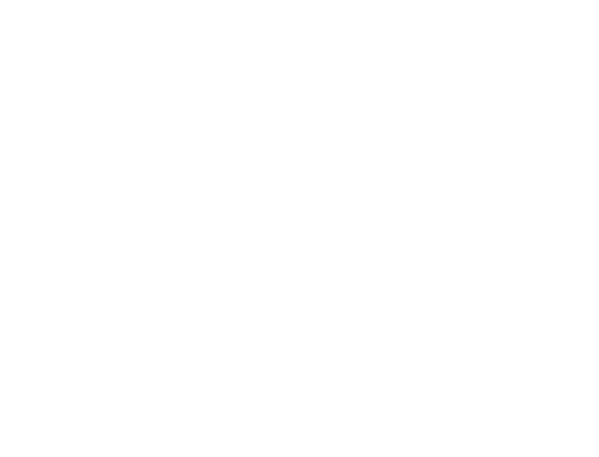 JINGLUN